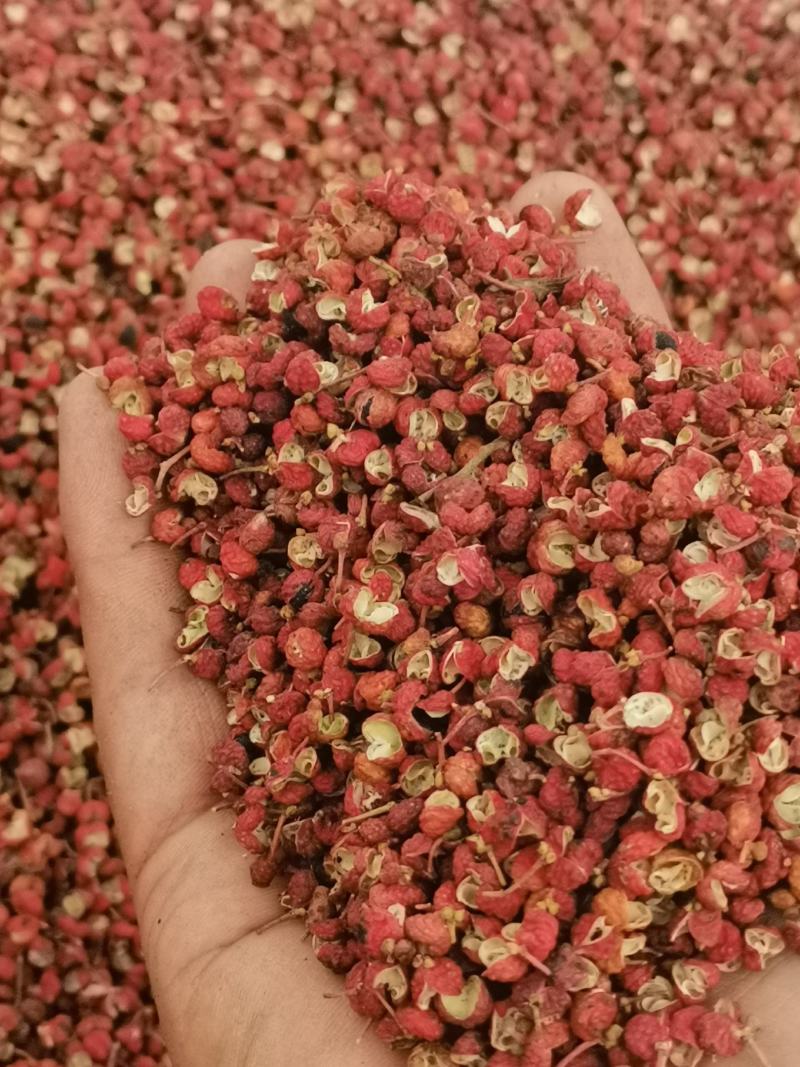 陕西花椒韩城大红袍花椒颗粒纯净货，可开发票，欢迎咨询