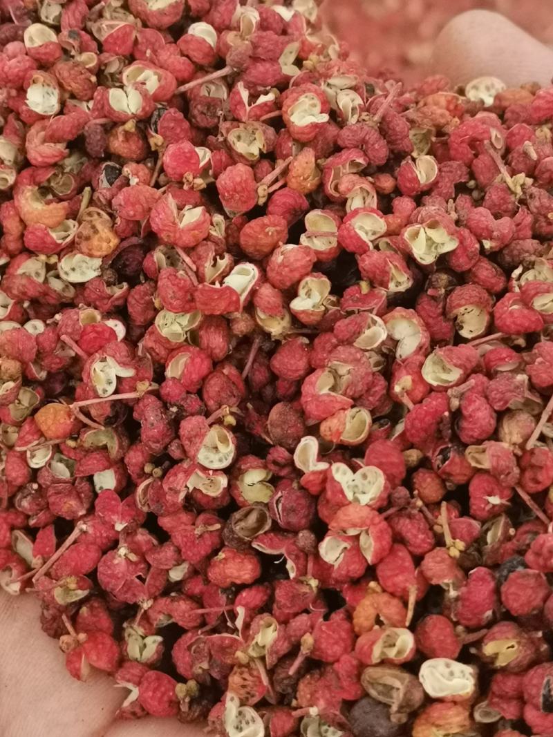 陕西花椒韩城大红袍花椒颗粒纯净货，可开发票，欢迎咨询