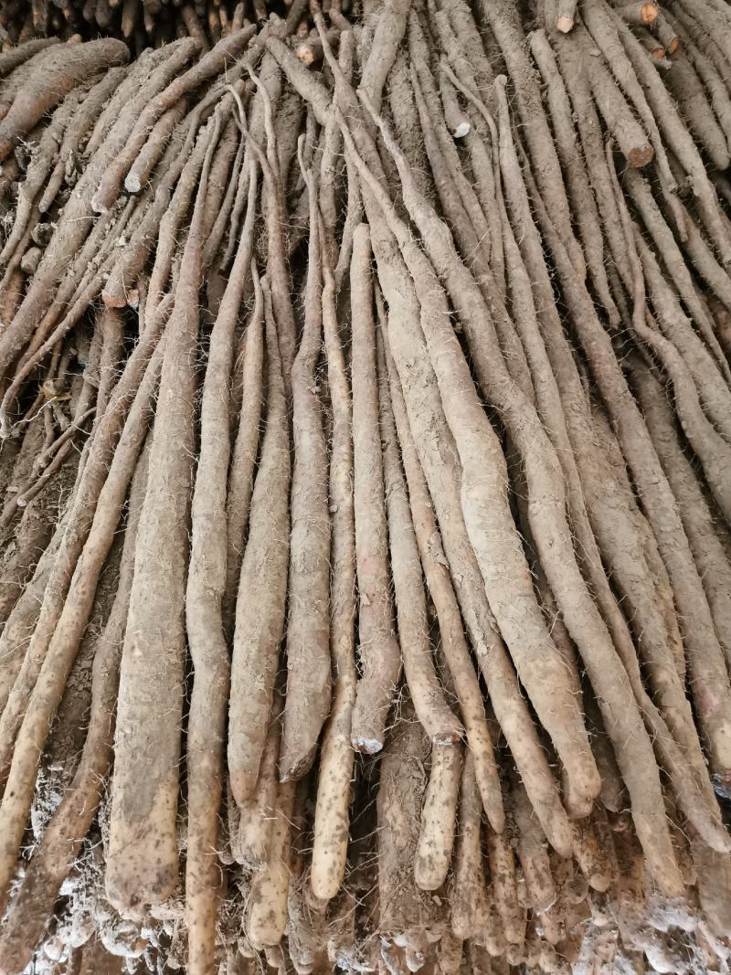 小白嘴山药支持一件代发，商超供应各种规格包装都有
