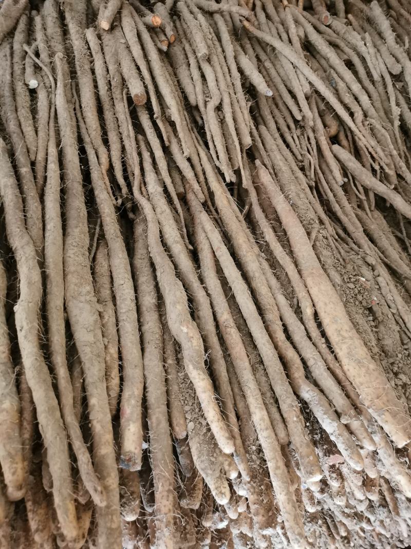 小白嘴山药支持一件代发，商超供应各种规格包装都有