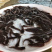 塘角鱼苗胡子鲶鱼苗三黄塘鲺鱼本地塘鲺鱼苗批发优质苗