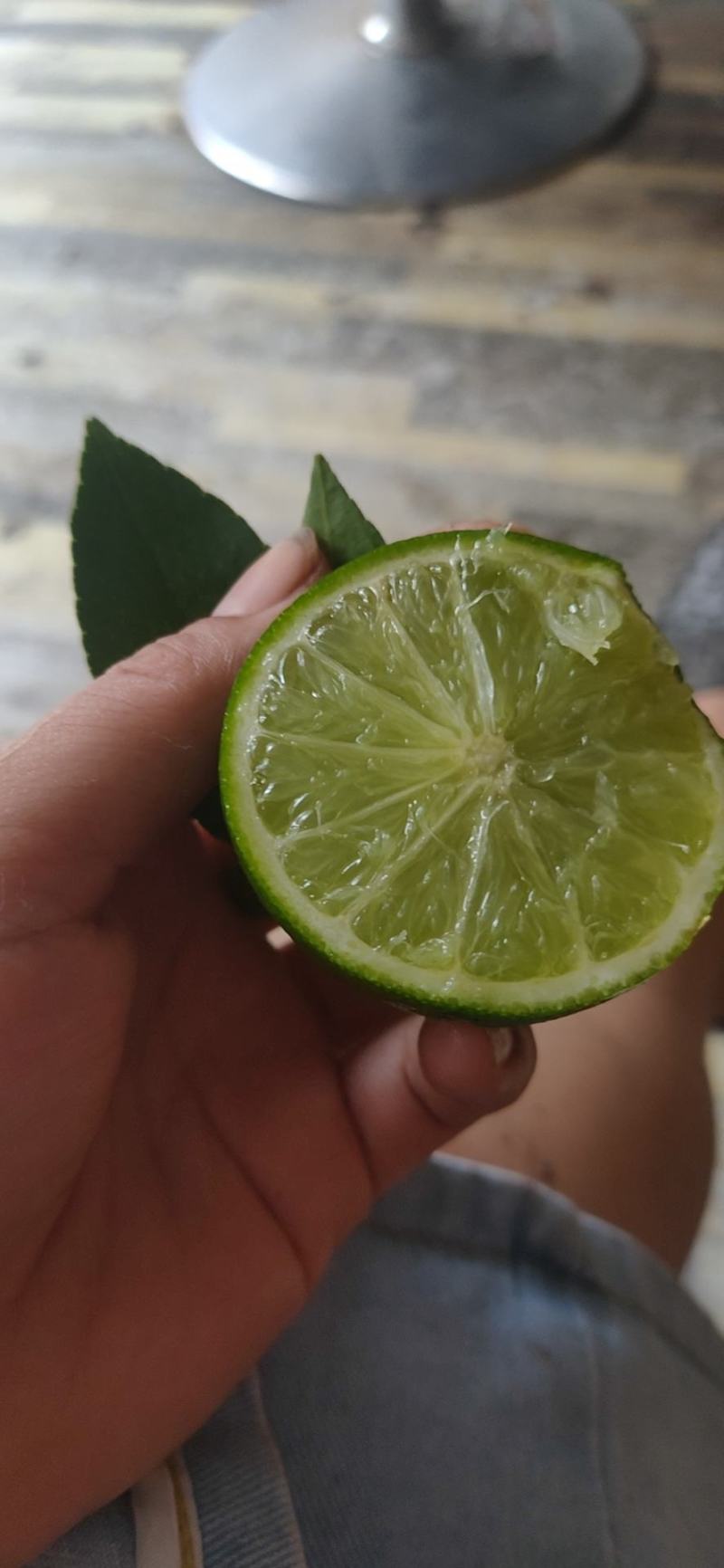 无籽青柠檬