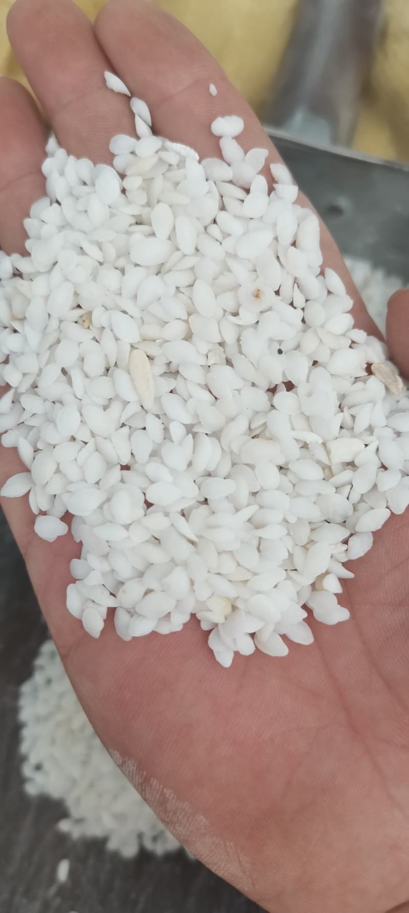 鱼脑石可打粉支持7天无理由退换货