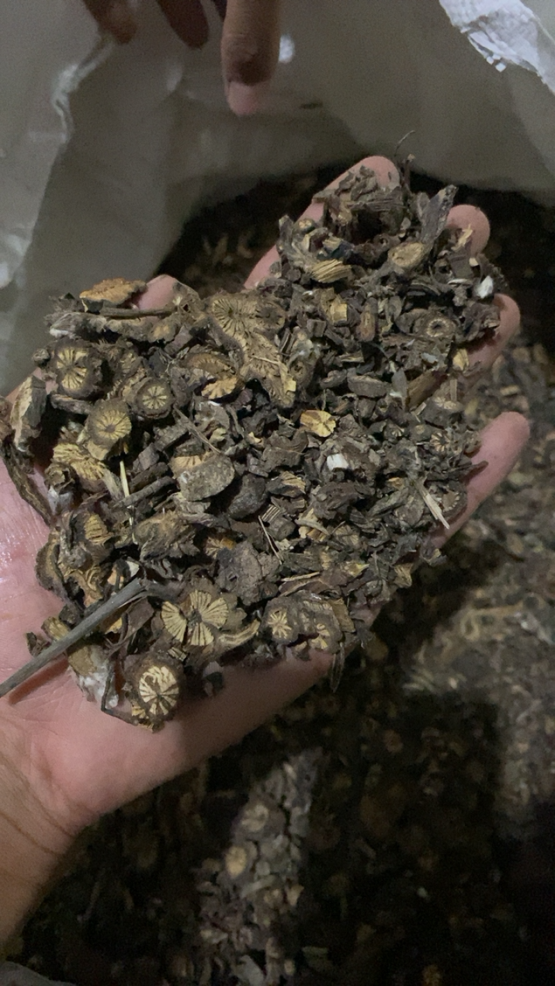 漏芦统货漏芦过筛货供应各种中药材