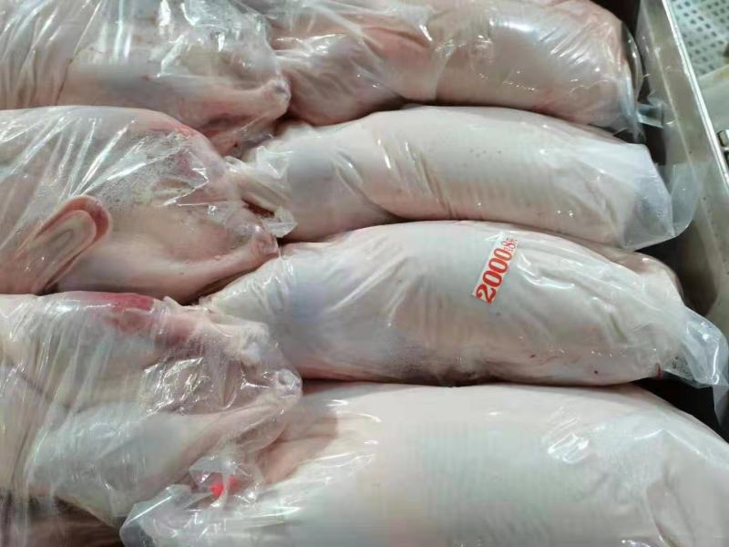 大白条鸭价格美丽厂家直接发货需要的联系我。