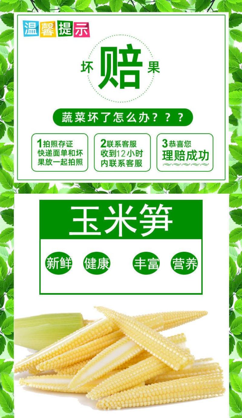 新鲜玉米笋去皮新鲜迷你玉米笋棒迷你水果玉米芯炖汤食材包邮