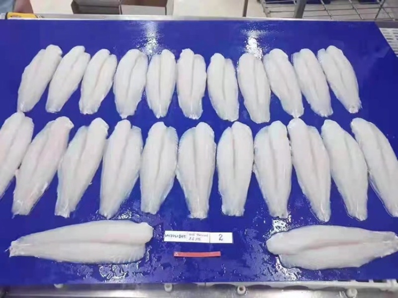 巴沙鱼广西南宁巴沙鱼证件齐全物美价廉