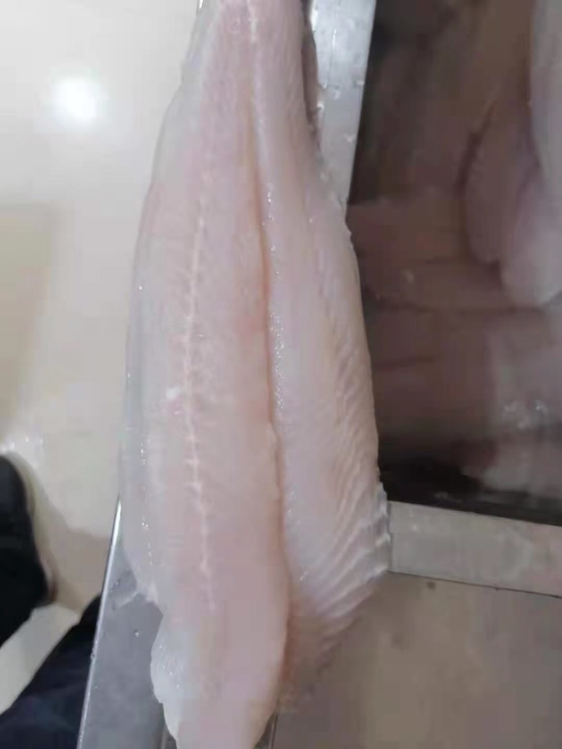巴沙鱼广西南宁巴沙鱼证件齐全物美价廉
