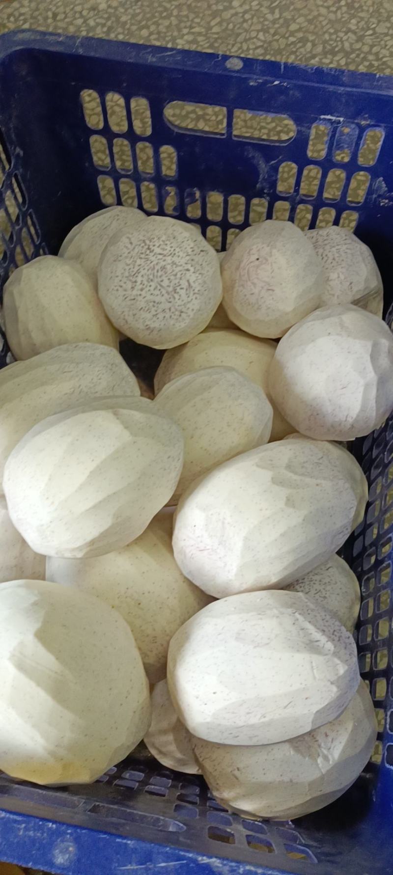 芋头，荔浦香芋，荔浦芋头，软糯香甜，皇家贡品，送礼佳品！
