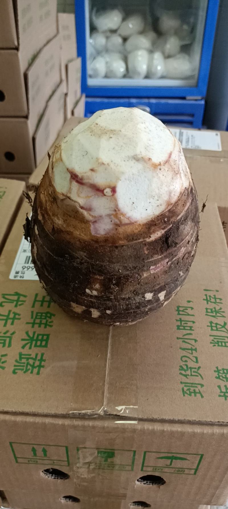 芋头，荔浦香芋，荔浦芋头，软糯香甜，皇家贡品，送礼佳品！