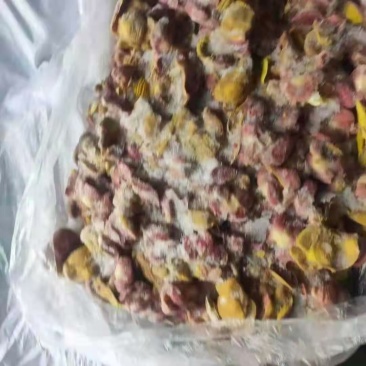 存货肉食鸡胗原始手续去油，