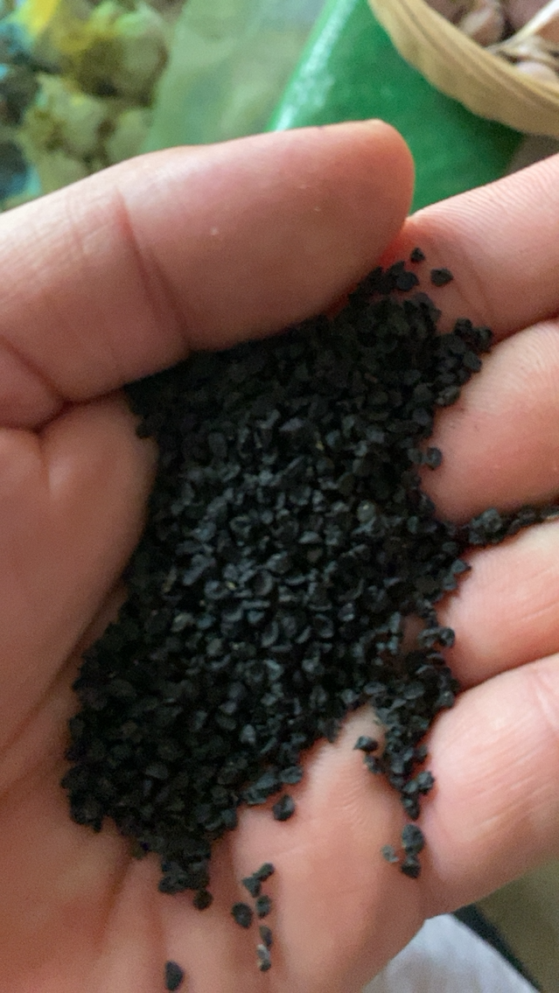 二红半高桩洋葱种子买种子找资质全的厂家有保障欢迎下单