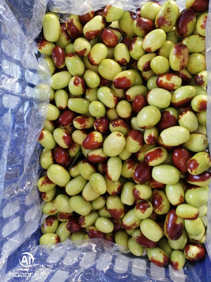 夏县冬枣