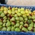 夏县冬枣