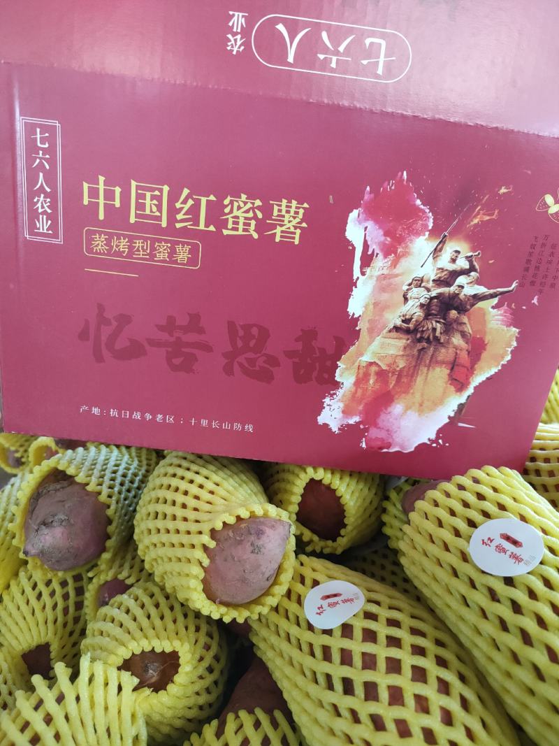 西瓜红蜜薯直播带货电商微商一件代发