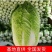 黄心大白菜