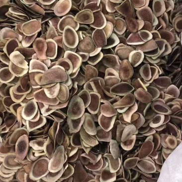 鹿茸片鹿角片鹿茸量大从优一手货源各种规格