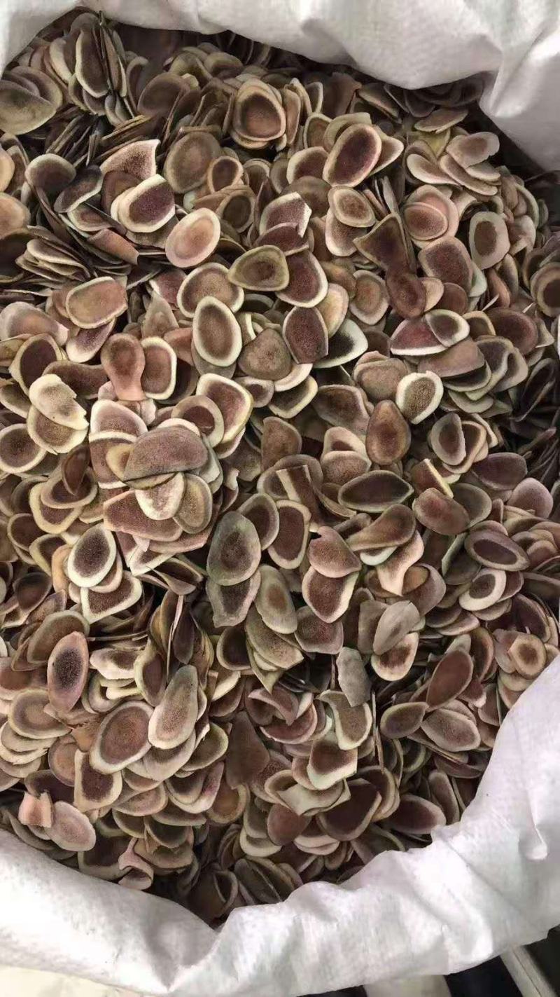 鹿茸片鹿角片鹿茸量大从优一手货源各种规格