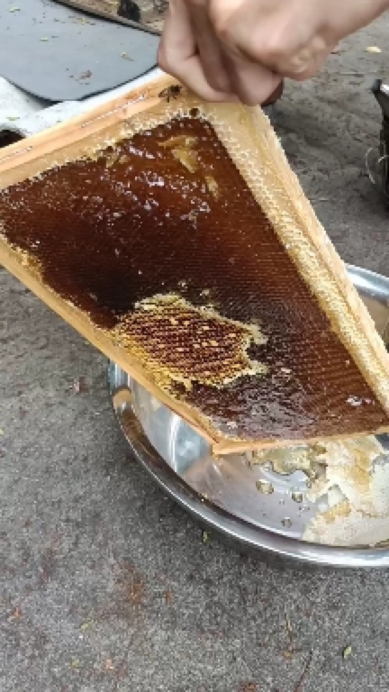 土生土长的最古老的中蜂，家里几代人的精神传承，采用的还是