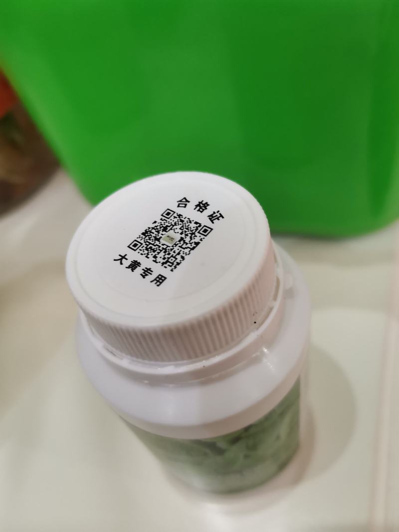 大黄苗，大黄除草专用，不伤苗，基地直销，产地货源。