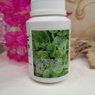 大黄苗，大黄除草专用，不伤苗，基地直销，产地货源。