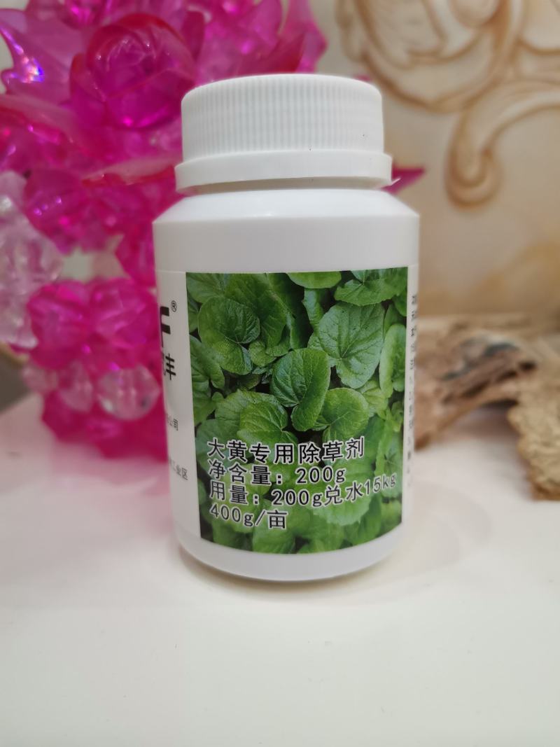 大黄苗，大黄除草专用，不伤苗，基地直销，产地货源。