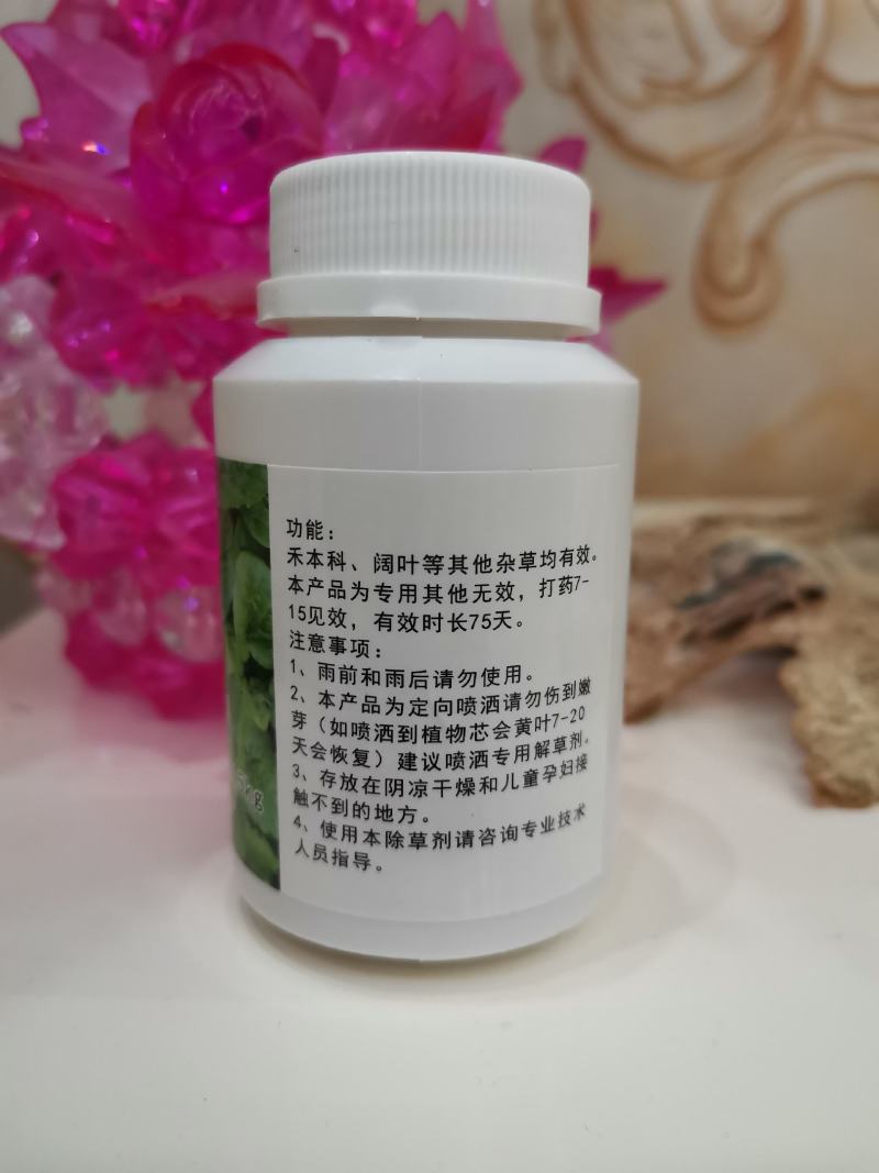 大黄苗，大黄除草专用，不伤苗，基地直销，产地货源。