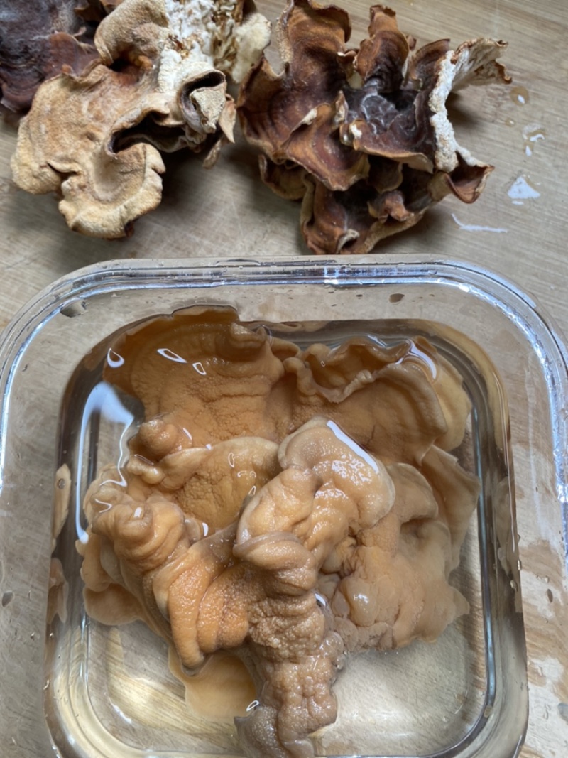 榆耳菌干货素食榆耳菇榆蘑菇榆树菇五斤包邮灵芝菇