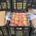 山东新红富士苹果供电商商超一手货源货源充足供各种包装