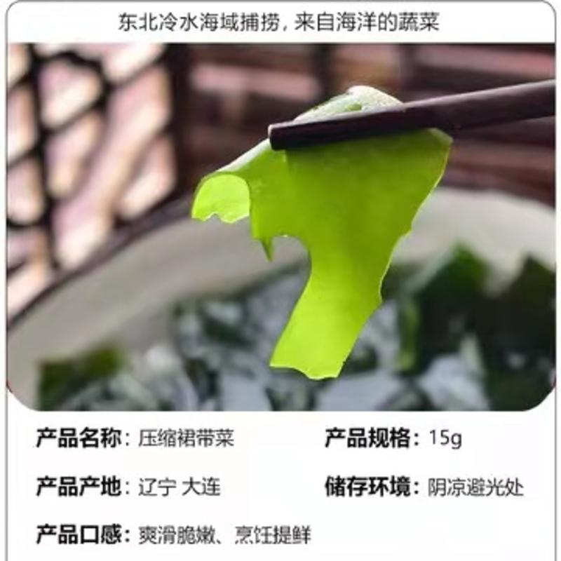 新品压缩裙带菜泡发即食无沙免洗网红火锅食材海鲜特产脆嫩