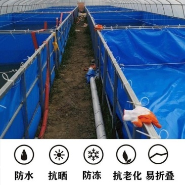 帆布水池定做户外养虾养鱼帆布鱼池pvc刀割布蓄水池水箱