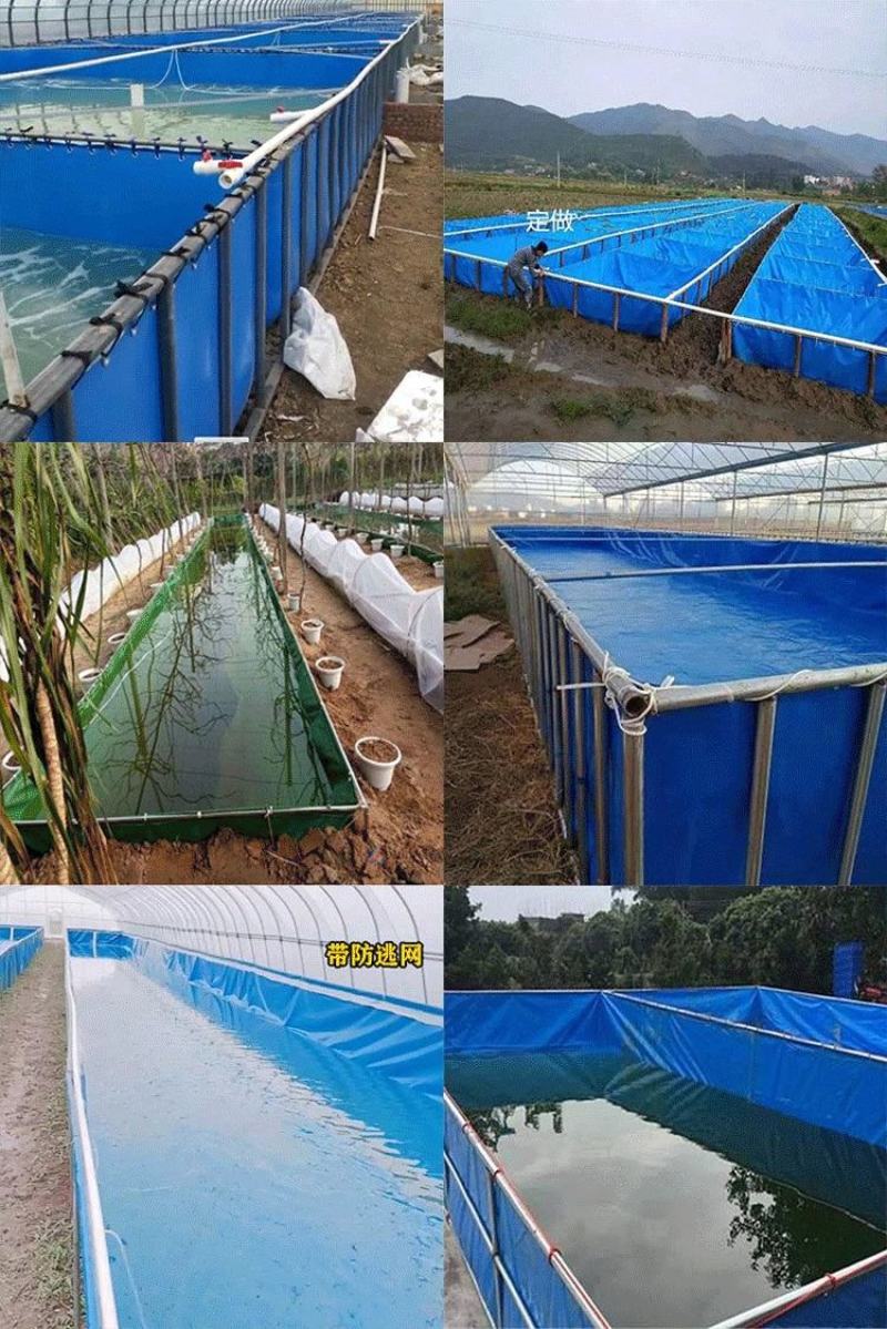 帆布水池定做户外养虾养鱼帆布鱼池pvc刀割布蓄水池水箱