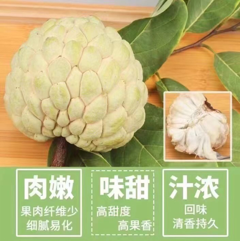 释迦林檎果现摘现发