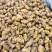 铁皮枫斗石斛，可直视产地直销，胶质好，化渣，干货，做工好