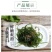 优质圆饼压缩海带丝烘干免煮泡发凉拌菜非海带片干货商用