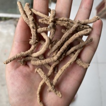 远志