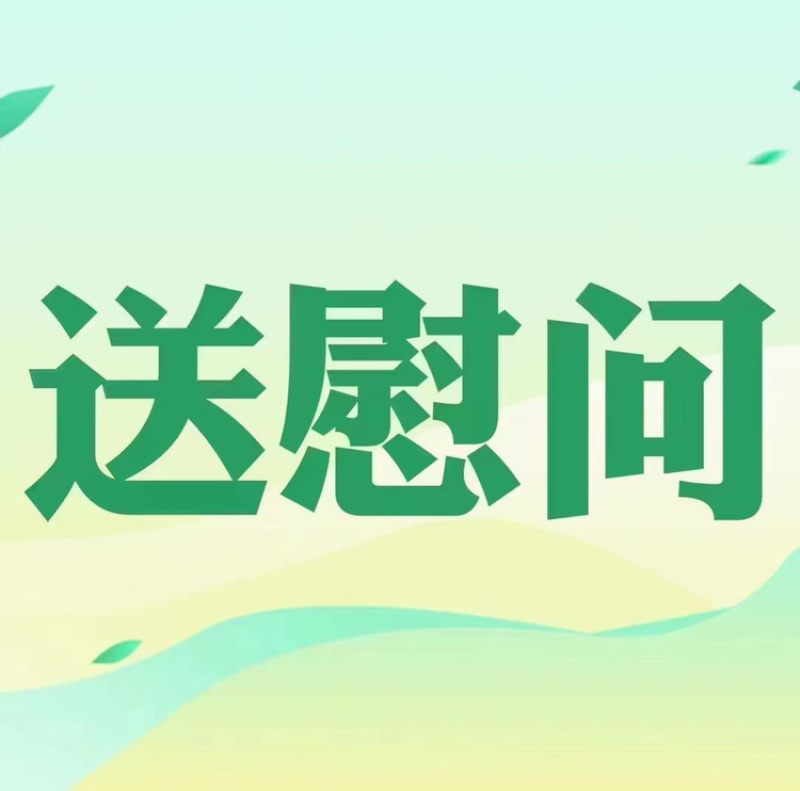 广州酒家月饼双黄纯白莲蓉