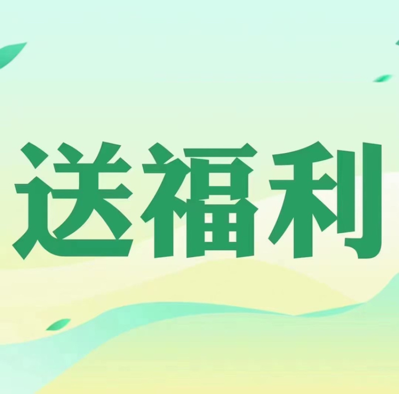 广州酒家月饼双黄纯白莲蓉
