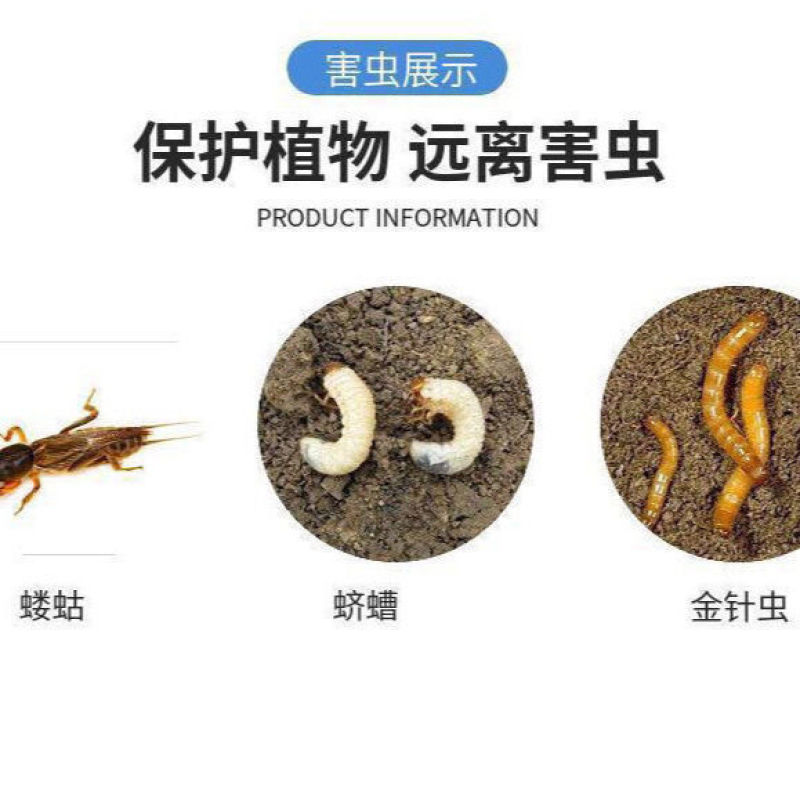 25%一拌三防蓝色拌种剂小麦水稻大蒜土豆抗病防虫拌种剂