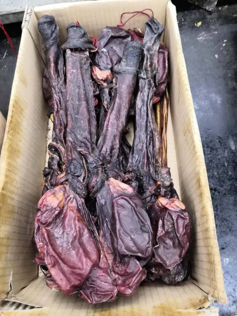 驴鞭新货驴鞭鞭大鞭长鞭各种鞭各种中药材