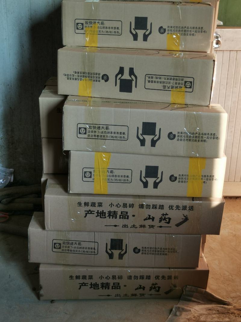小白嘴山药支持一件代发，商超供应各种规格包装都有