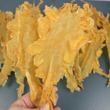 花胶鳕鱼胶15到110头各种规格足干厚肉支持退换货