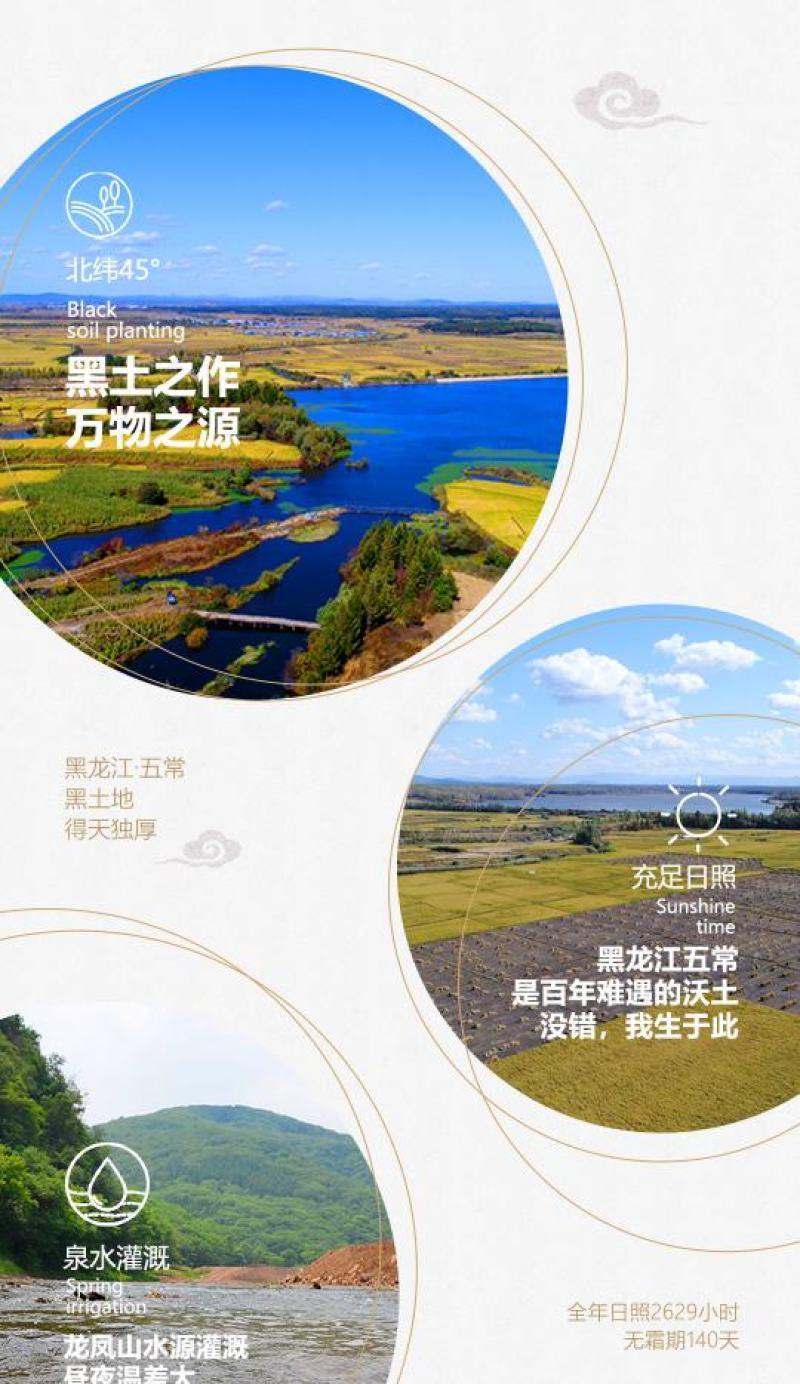 稻花香2号米5斤五常大米2.5kg新米10斤包邮
