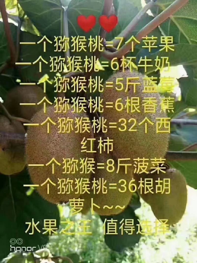 徐香猕猴桃一件包邮10斤60元一件包邮优质水果