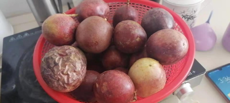 广西宜州农家种植百香果