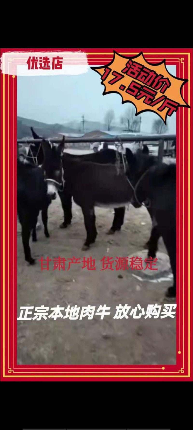 驴苗200斤关中驴，三粉丝，德州驴，货源充足，放心购买