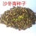 沙冬青种子沙生极耐旱植物沙冬青观赏药用保土北方常绿树种