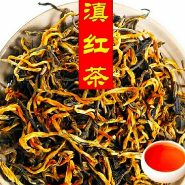 云南滇红茶蜜香滇红茶云南凤庆红茶回味甘甜韵味悠长