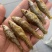 麦穗鱼忍子鱼春鱼油炸鱼无盐鱼干不苦不破肚