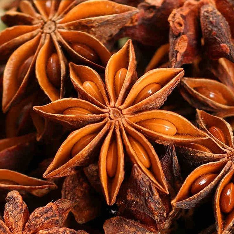 散装大茴香种子大料大红八角茴香八角珠八角香八角树八角种子